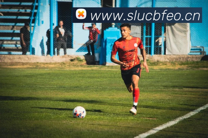 星空网页版在线登录平台生态图